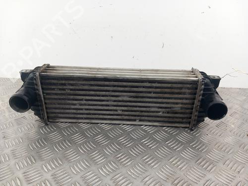Intercooler FORD TRANSIT CONNECT (P65_, P70_, P80_) 1.8 TDCi | BP29352307M30 