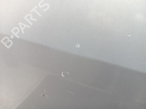 Left front door RENAULT SCÉNIC II (JM0/1_) 1.9 dCi (JM0G, JM12, JM1G, JM2C) | BP28742229C2 