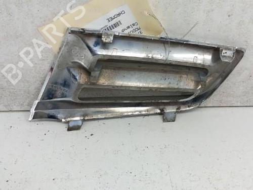 grille-renault-modus-grand-modus-fjp0_-2004-28746975 main image