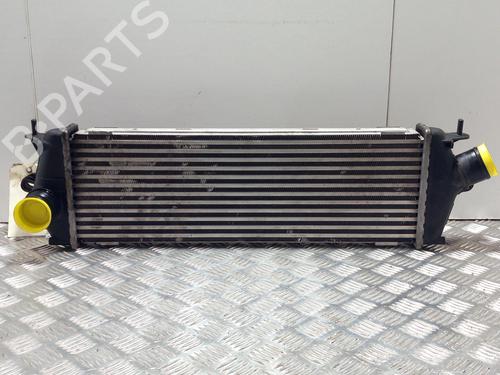 Intercooler RENAULT TRAFIC II Bus (JL) 2.0 dCi 90 (JL00, JL01, JL0H, JL0M, JL0P, JL0S) (90 hp) 28751017