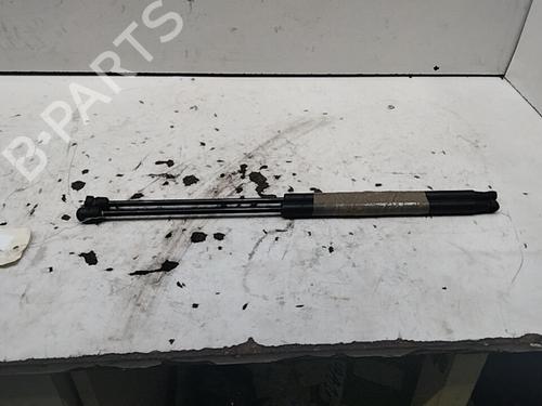 Used Tailgate lift support Tailgate lift support FIAT BRAVO II (198_) 1.6 D Multijet (198AXL1B) (120 hp) 28790987 28790987