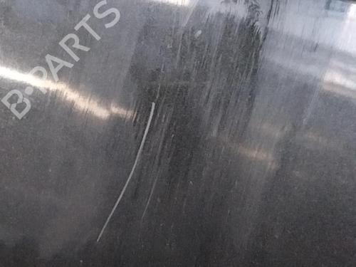 Used Tailgate RENAULT MEGANE II (BM0/1_, CM0/1_) 1.5 dCi (BM02, BM13, BM2A, CM02, CM13) (101 hp) 28771169