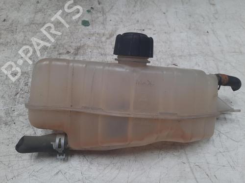 Used Expansion tank RENAULT CLIO III (BR0/1, CR0/1) 1.5 dCi (C/BR0G, C/BR1G) (68 hp) 28761052