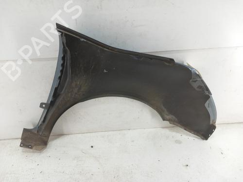 Left front fenders CITROËN C4 Picasso I MPV (UD_) 1.6 HDi 110 | BP29160595C41 