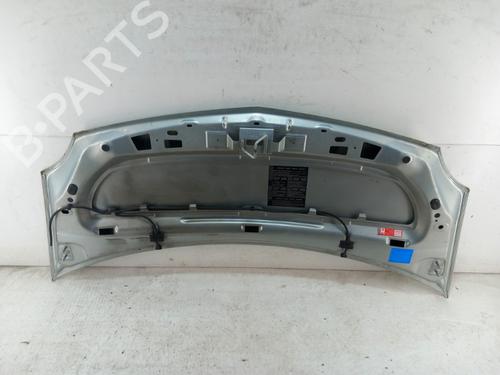 Panser Panser RENAULT KANGOO / GRAND KANGOO II (KW0/1_) 1.5 dCi 90 (KW05, KW08, KW0G, KW11) (90 hp) 28734491 28734491