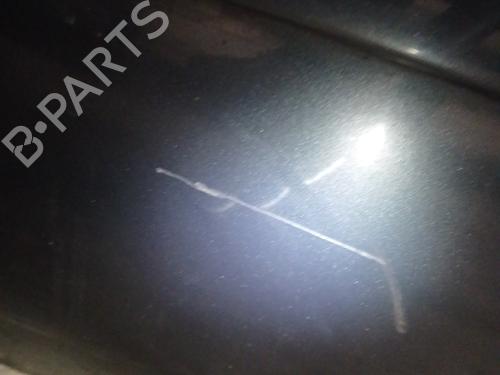 Left front door CITROËN C4 Picasso I MPV (UD_) 1.6 HDi 110 | BP31853549C2