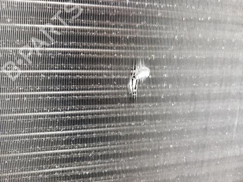 Used Water radiator Water radiator MERCEDES-BENZ C-CLASS (W202) C 180 (202.018) (122 hp) 29126568 29126568