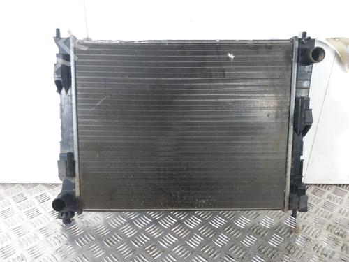 Used Water radiator RENAULT TWINGO II (CN0_) 1.2 16V (CN04, CN0B) (75 hp) 28739535