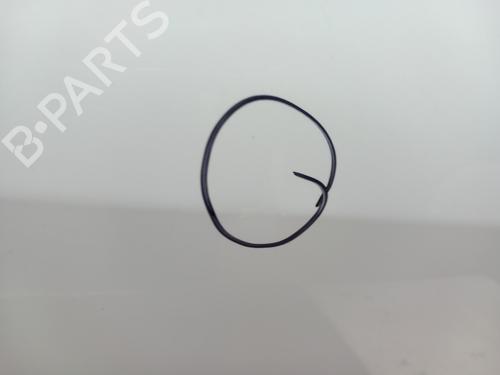 Right rear door RENAULT SCÉNIC III (JZ0/1_) 1.6 dCi (JZ00, JZ12) | BP28740104C5 
