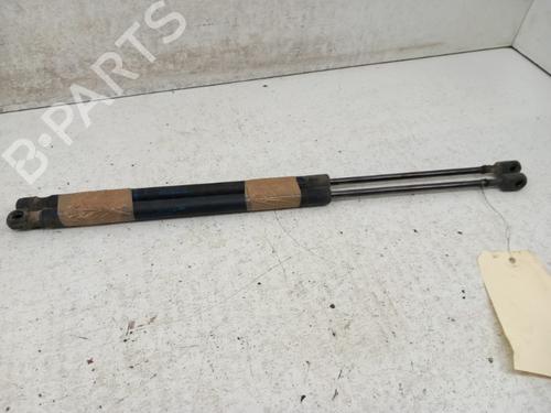 Used Tailgate lift support RENAULT SCÉNIC II (JM0/1_) 1.9 dCi (JM14) (131 hp) 28767745