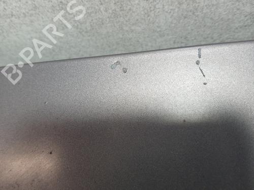 Tailgate RENAULT CLIO III (BR0/1, CR0/1) 1.5 dCi (BR17, CR17) | BP30706565C6