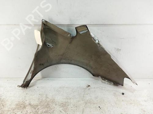 Left front fenders FIAT IDEA (350_) 1.3 D Multijet | BP28783432C41 