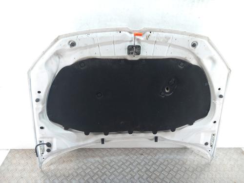 Hood VW POLO V (6R1, 6C1) 1.6 TDI | BP29465986C1 