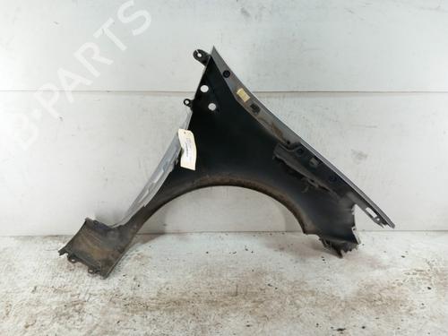 Left front fenders RENAULT CLIO III (BR0/1, CR0/1) 1.2 16V (BR02, BR0J, BR11, CR02, CR0J, CR11) | BP28738064C41 