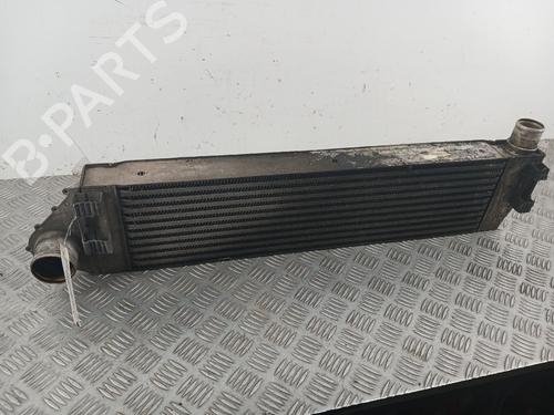 Used Intercooler Intercooler RENAULT GRAND SCÉNIC II (JM0/1_) 2.0 dCi (JM1K) (150 hp) 39025640 39025640