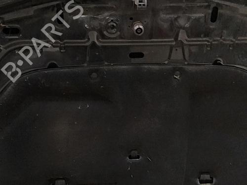 Hood RENAULT VEL SATIS (BJ0_) 2.2 dCi (BJ0E, BJ0F) | BP28791428C1 