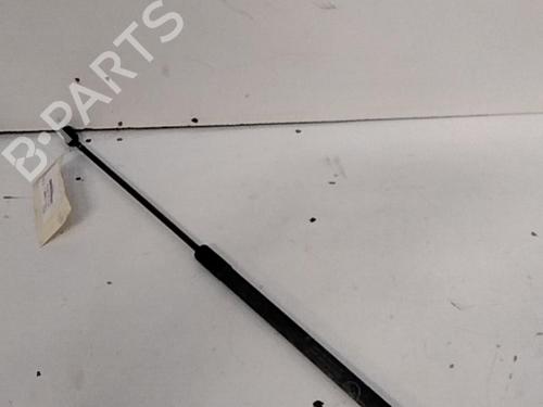 Used Tailgate lift support FORD C-MAX II (DXA/CB7, DXA/CEU) 2.0 TDCi (140 hp) 28784581