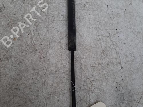 Vérin de capot RENAULT ESPACE IV (JK0/1_) 2.0 dCi (JK01, JK02, JK1J, JK1K, JK1H) (150 hp) 28789855