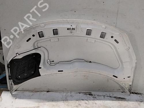 hood-peugeot-206-2l_-2m_-2009-2010-2011-2012-2013-28784931 main image