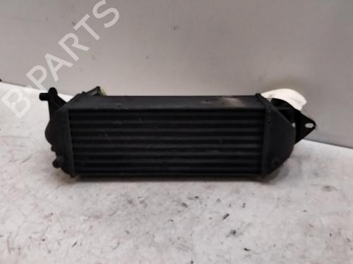 Intercooler ALFA ROMEO 166 (936_) 2.4 JTD (936AXA00, 936A3B00) | BP29850375M30