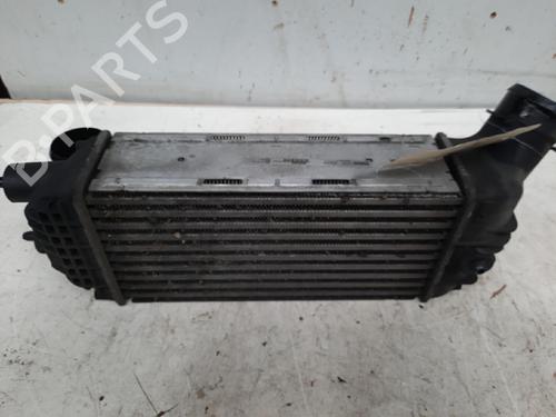 Used Intercooler CITROËN C4 Grand Picasso I (UA_) 2.0 HDi 150 (150 hp) 28750406