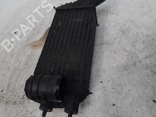Intercooler PEUGEOT 3008 I MPV (0U_) 2.0 HDi (163 hp) 28774071