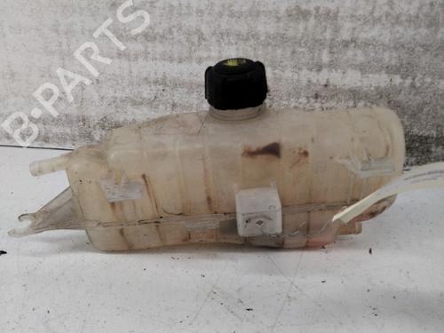 Used Expansion tank RENAULT CLIO III Grandtour (KR0/1_) 1.2 16V (KR02, KR0J) (75 hp) 28734185