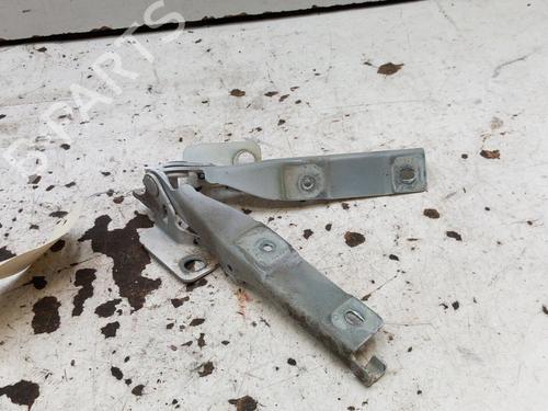 hingedoor-check-strap-citroen-c3-ii-sc_-2009-28778682 main image