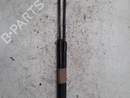 Used Tailgate lift support VW POLO V (6R1, 6C1) 1.6 TDI (90 hp) 28775251