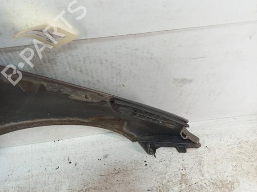Left front fenders RENAULT SCÉNIC III (JZ0/1_) 1.5 dCi | BP28780941C41 