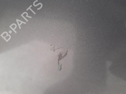 Used Left front door HYUNDAI SONATA V (NF) 2.4 (162 hp) 28766796
