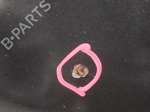 Hood VW POLO (6N2) 1.9 SDI | BP28769203C1 