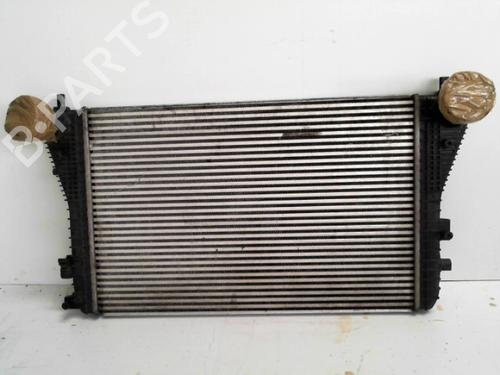 Used Intercooler VW GOLF PLUS V (5M1, 521) 1.9 TDI (105 hp) 28766104