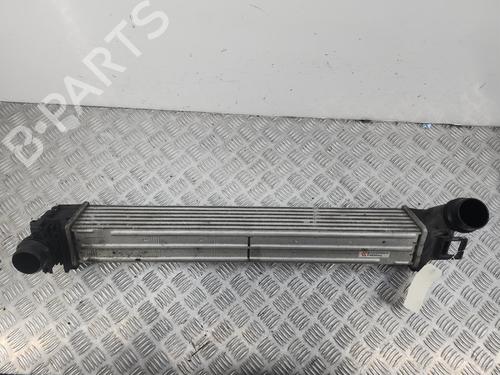 Intercooler RENAULT MEGANE III Hatchback (BZ0/1_, B3_) 1.5 dCi (BZ09, BZ0D, BZ1W, BZ29, BZ14) | BP37148929M30 - Image 2