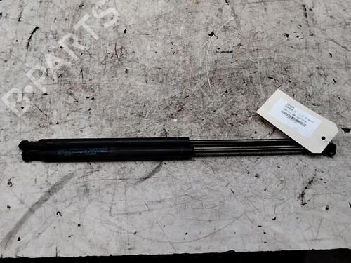 Used Tailgate lift support FIAT PANDA (169_) 1.3 D Multijet (169.AXC1A) (70 hp) 28749623