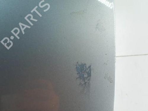 Left front door RENAULT SCÉNIC III (JZ0/1_) 1.9 dCi (JZ0J, JZ1J, JZ1K, JZ1S) | BP28784268C2 
