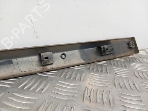 Door moulding trim RENAULT CLIO III (BR0/1, CR0/1) 1.5 dCi (C/BR0G, C/BR1G) | BP28767665C150 