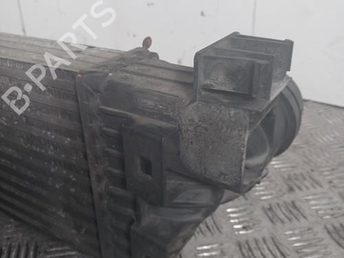 Intercooler Intercooler RENAULT MASTER III Van (FV) 2.3 dCi 125 FWD (FV0C, FV0D, FV0G, FV0H, FV0J, FV0K,... (125 hp) 33723619 33723619