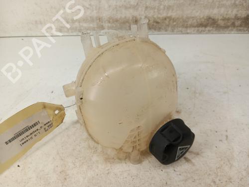 Used Expansion tank PEUGEOT 208 II (UB_, UP_, UW_, UJ_) 1.5 BlueHDI 100 (102 hp) 28743356