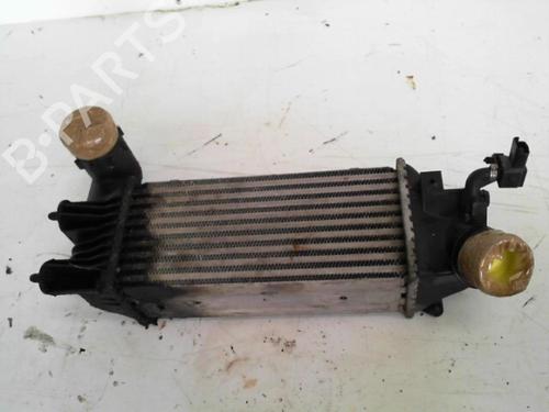 Intercooler PEUGEOT 406 (8B) 2.0 HDI 110 (109 hp) 28777705