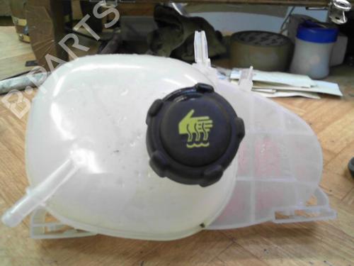 Used Expansion tank RENAULT TWINGO III (BCM_, BCA_) 1.0 SCe 70 (BCMB) (69 hp) 28765724