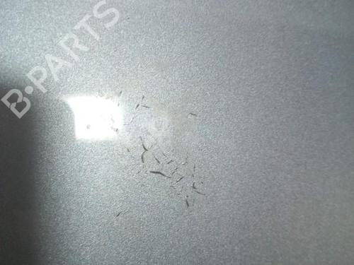 Tailgate CHEVROLET AVEO / KALOS Hatchback (T250, T255) 1.2 LPG | BP28784002C6