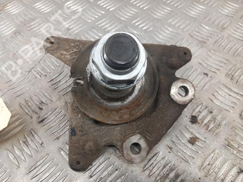 Used Right rear steering knuckle RENAULT SCÉNIC III (JZ0/1_) 1.5 dCi (110 hp) 28782188