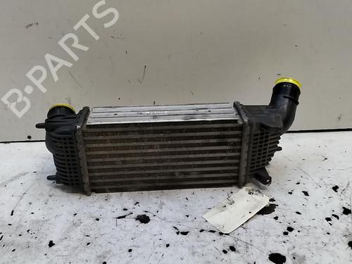 Intercooler CITROËN C5 III Break (RW_) 2.0 HDi | BP28748278M30 