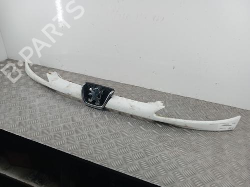 Used Grille PEUGEOT 206 Hatchback (2A/C) 1.4 HDi eco 70 (68 hp) 30576838