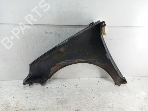 Right front fenders RENAULT SCÉNIC III (JZ0/1_) 1.5 dCi | BP28781160C42 