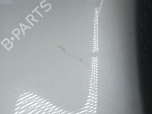 Left front fenders RENAULT CLIO III (BR0/1, CR0/1) 1.5 dCi (C/BR0G, C/BR1G) | BP28736758C41 