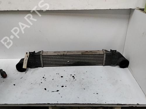 Used Intercooler MERCEDES-BENZ S-CLASS (W220, V220) S 320 CDI (220.026, 220.126) (197 hp) 28753955