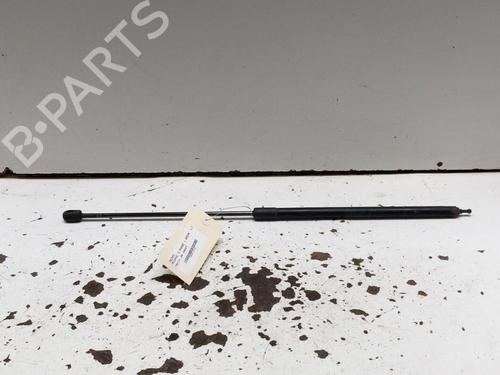 Used Hood lift support RENAULT MEGANE III Grandtour (KZ0/1) 1.5 dCi (KZ09, KZ0D, KZ1G, KZ29, KZ14, KZ1W, KZ10, KZ1F,... (110 hp) 28793164
