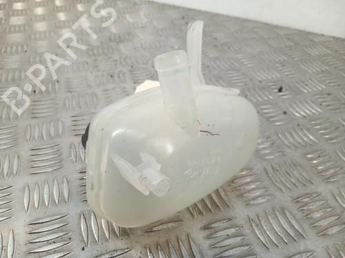 ekpansionstank-renault-megane-e-tech-suv-2021-29412343 main image